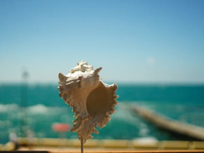 Трагедия на пляже 