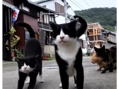 Доброе утро, Славянский район!