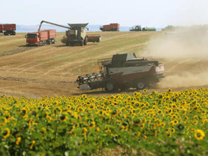 Активное развитие сельхозкооперативов на Кубани