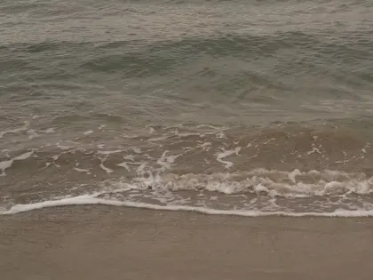 Роспотребнадзор: 9 из 24 проб морской воды в Краснодарском крае не соответствуют санитарным нормам