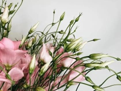 Поздравляем с днем рождения!