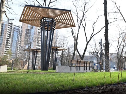 Весной новороссийцы проголосуют за зеленую зону, которую благоустроят в 2024 году