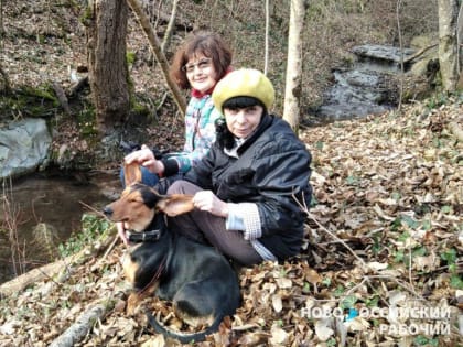 После застолья новороссийцы потянулись на природу вместе с домашними животными