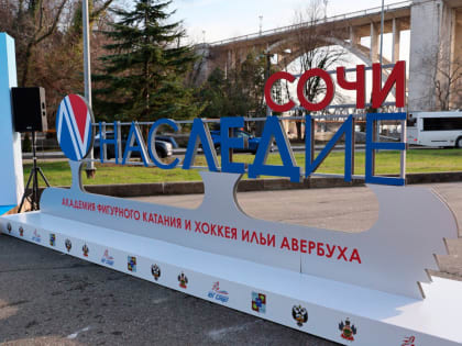 В Сочи появится академия фигурного катания и хоккея