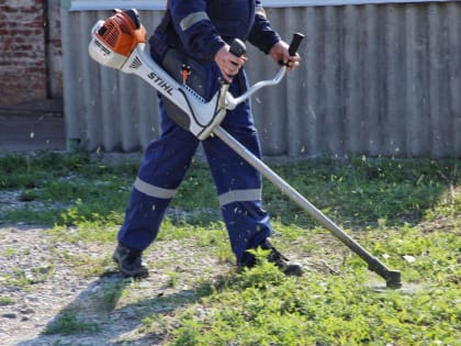 На территории Краснодара за четыре месяца выкосили более 10,5 тысяч га карантинной растительности