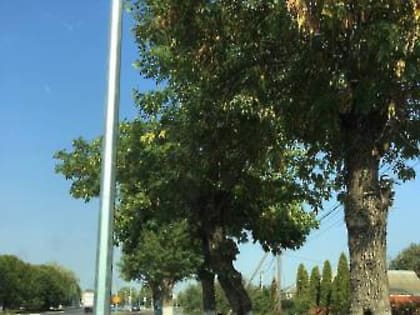 В рамках контрольных объездов объектов Глава Белореченска встретился с подрядчиком в сквере по улице Толстого