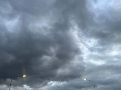 Погода в Краснодаре на ближайшую неделю