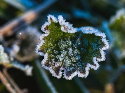 Синоптики рассказали, где в ближайшие дни подморозит в Краснодарском крае