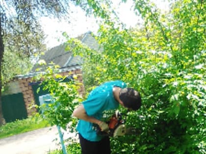 Наведение санитарного порядка