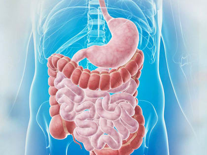 Неделя профилактики заболеваний желудочно-кишечного тракта