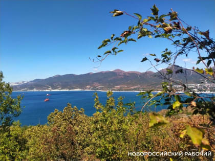 Новороссийские медики советуют, как сохранить психику и не сойти с ума