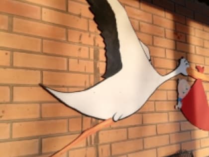 В Брюховецком районе пройдет акция по профилактике онкозаболеваний