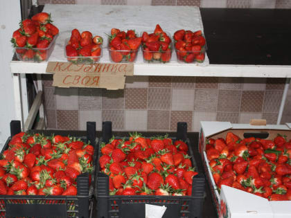 Чего мы ещё не знали о клубнике: 5 полезных свойств невероятно вкусной ягоды