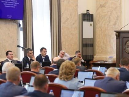 Депутаты приняли Обращение по совершенствованию обеспечения лекарствами жителей отдаленных населенных пунктов Кубани