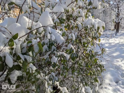 В конце февраля в Краснодаре потеплеет до 20°C, но в первый день весны возможен снег