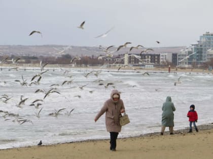 В Анапе 14 февраля будет облачно и дождливо