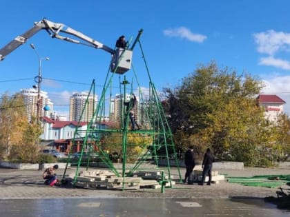 В Краснодаре началась установка новогодних ёлок