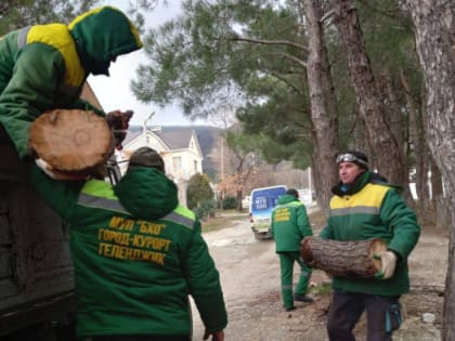 Службы Геленджика устраняют последствия непогоды