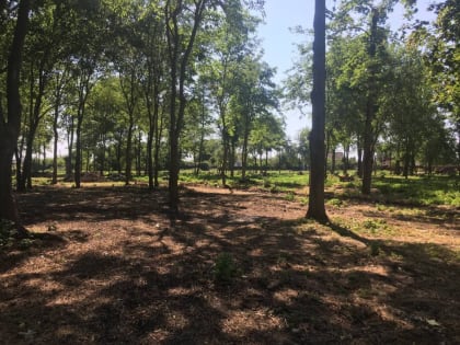 В поселке Дальнем благоустраивают парк