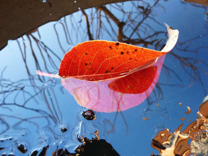 Аномальный ноябрь 2023 года запомнится не только штормом века