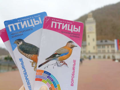 Искусственные гнездовья для птиц установят на «Роза Хутор»