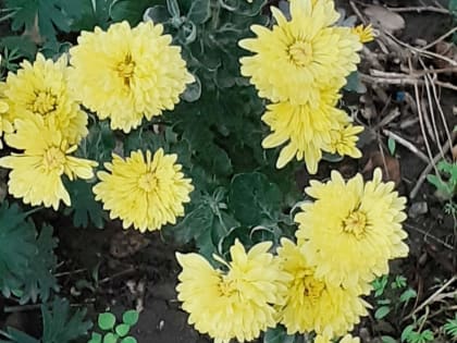 Сегодня в Краснодарском крае воздух прогреется до +27 градусов