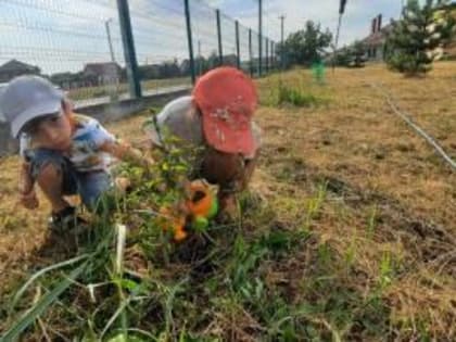Маленькие патриоты: дошколята ДС №4 вносят свой вклад в благоустройство зеленых территорий в рамках международной акции