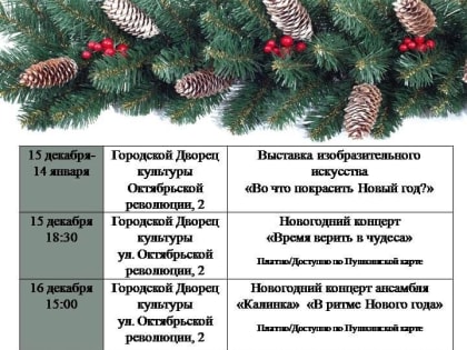 Встречаем Новый Год вместе!