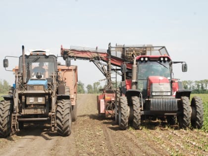 В поля Гулькевичского района ежедневно выходят 17 уборочных комбайнов