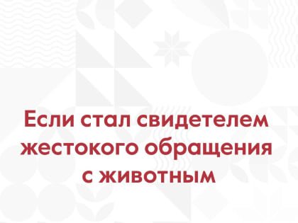 Животные должны быть защищены от жестокого обращения!