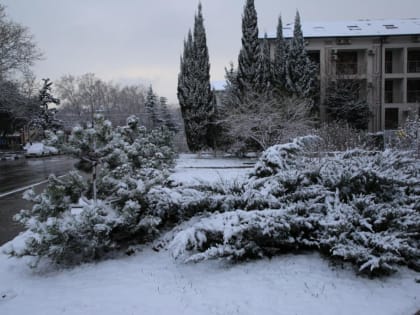 В Краснодарский край придет настоящая зима 