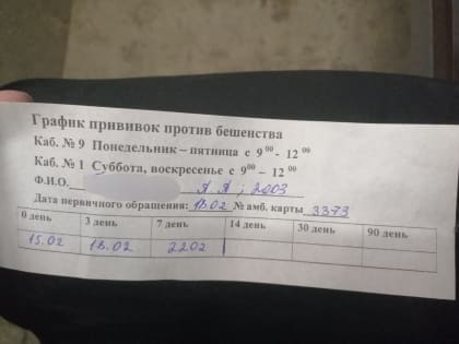 В Краснодаре собака напала на молодого человека