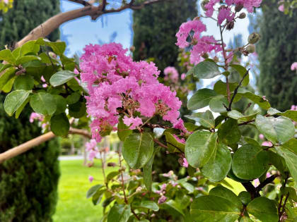 Жаркие дни в Краснодаре: что ждать в ближайшие дни