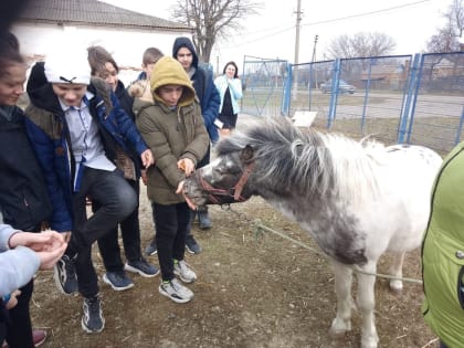 Экскурсии на конно-спортивный клуб "Атаман"