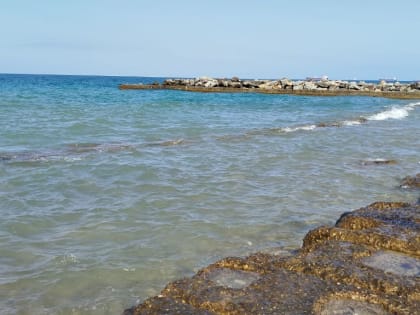 «Россети Юг» планируют избавиться от курортного актива на Черном море