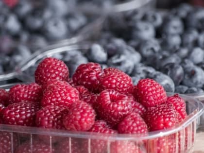 Рост сбора плодов в Краснодарском крае