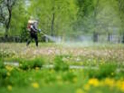 ВНИМАНИЕ! ПРОТИВОКЛЕЩЕВАЯ ОБРАБОТКА!