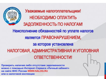 Оплати задолженность по налогам!