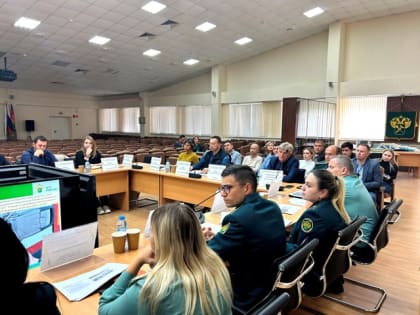 В Новороссийской таможне прошло заседание рабочей группы по совершенствованию таможенного администрирования в морском пункте пропуска Новороссийск