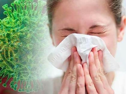 Пять антивирусных продуктов, которые следует включить в рацион для укрепления иммунитета