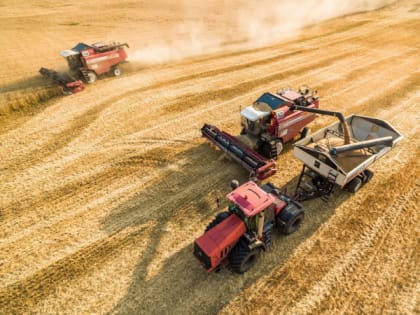 В Ейском районе уже убрана половина площадей озимой пшеницы