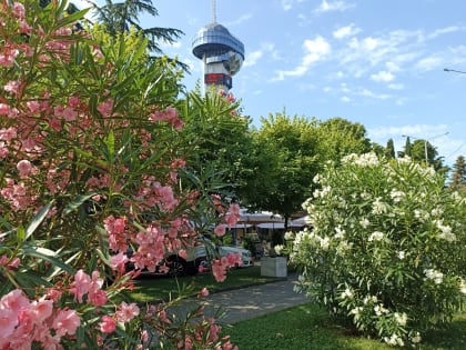 Яркий Туапсе