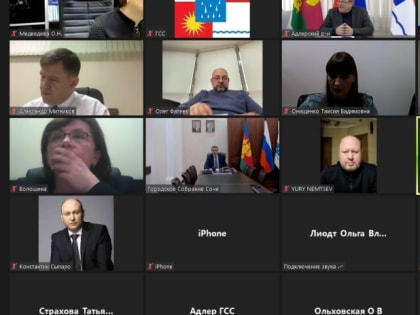 Заседание территориальной депутатской группы Адлерского района прошло в режиме ВКС
