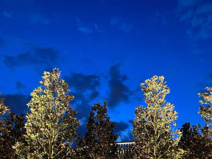 Синоптики рассказали о похолодании в Краснодарском крае до 1 градуса