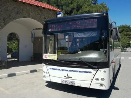 Для любителей светомузыкального шоу фонтанов ввели ночной рейс из Абрау-Дюрсо