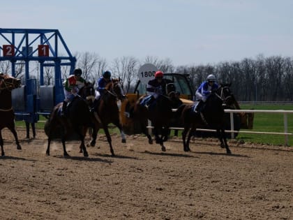 В Павловском районе открыт Всероссийский скаковой сезон 2024