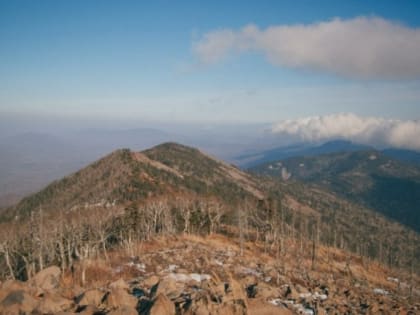 Какой будет погода на неделе в Краснодарском крае