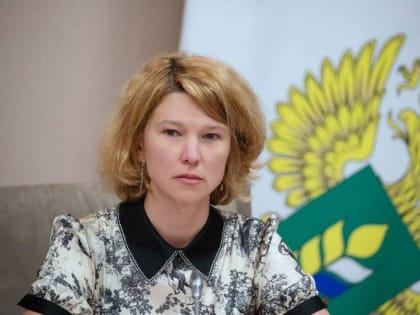 Глава Минсельхоза РФ: в 2024 году идем на рекорд по вывозу зерновых