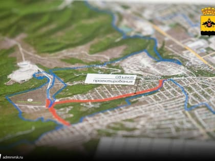 Сделать улицу комфортной и безопасной: состоялись публичные слушания по обустройству дороги в Борисовке