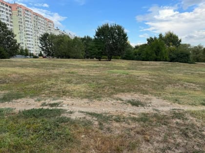 Обсуждение строительства храма в Юбилейном: мнение местных жителей имеет значение